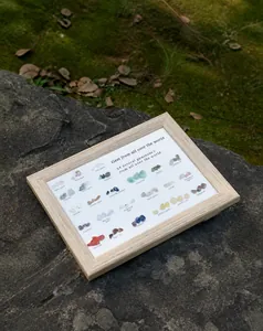 Collection of 24 natural crystal mineral specimens in a light wood frame on rocks