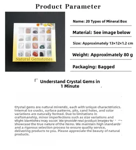 Detailed view of natural mineral gemstones set in a 20-grid plastic display box