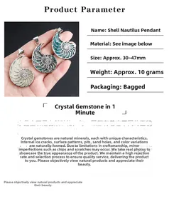 Detailed size specifications for nautilus shell pendants in various natural colors