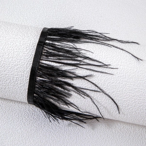 Vue détaillée du ruban de plumes d'autruche noires pour accessoires gothiques et couture
