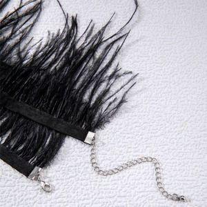 Vue détaillée du choker gothique en plumes noires avec fermoir mousqueton argenté