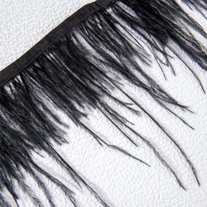Détail de la frange de plumes noires élégantes sur ruban pour bijoux gothiques