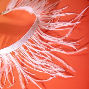 Gros plan des plumes roses et du ruban de satin sur ce tour de cou gothique élégant