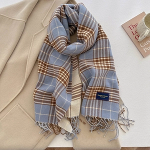 Detailopname van blauw-beige geruite sjaal met franjes en elegant geweven label