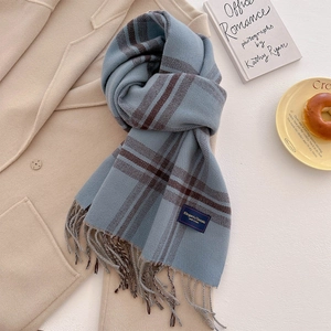 Close-up of blue and brown plaid scarf with tassels on a coat with book and plate