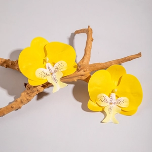 Detailed view of yellow orchid earrings with purple spotted accents on a wood branch