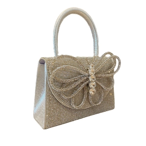 Elegant silver evening bag with sparkling rhinestones and large butterfly decorative accent
