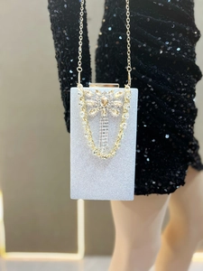 Silver glitter evening bag with rhinestone dragonfly and chain on a black dress