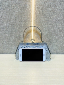 Detail of silver evening clutch bag with rhinestone fringe and metal top handle