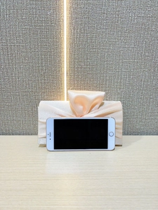 Detailed view of champagne satin clutch with large bow showing smartphone fit