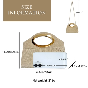Detailed size information for pleated gold evening bag with dimensions and phone comparison