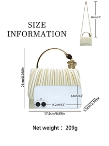 Beige pleated evening bag with gold ring handle and size specifications overview