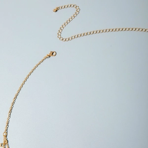 Macro view of golden butterfly waist chain with lobster clasp and adjustable link chain