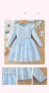 Détail d'une robe bleue pour fille avec tulle à papillons brodés et finitions en dentelle