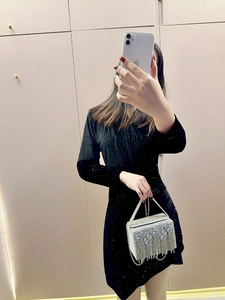 Détail du sac de soirée en strass argenté avec de longues franges élégantes pour fête