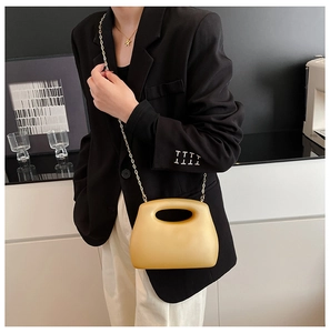 Fashionable acrylic box clutch bag in pale gold with metallic chain strap worn by model