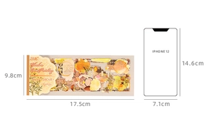 Set di adesivi decorativi vintage confronto dimensioni 17,5x9,8cm con iPhone 12