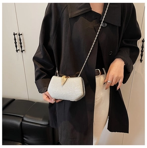Detail of silver evening clutch with gold leaf clasp and delicate chain strap on model