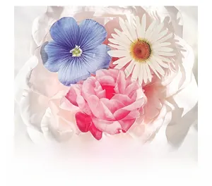 Close-up of translucent floral stickers with roses and daisies for journaling scrapbooks