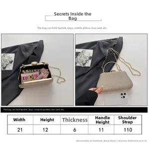 Size guide for champagne sequined evening bag with precise dimensions and phone comparison