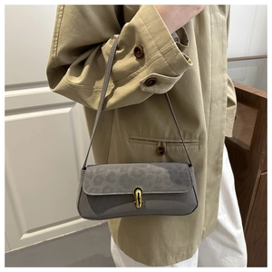 Detail of grey underarm bag featuring leopard print texture and gold metal buckle
