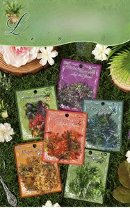 Macro detail of botanical leaf stickers spread on moss for DIY scrapbooking decoration