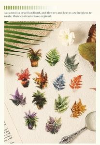 Macro shot of vintage waterproof fern plant PET stickers with diverse botanical designs