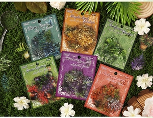 Flat lay of vintage botanical PET stickers showing plant leaves on green moss
