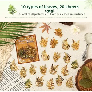 Retro botanical leaf stickers for scrapbooking featuring 10 vintage plant designs