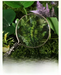 Close-up of magnifying glass showing detailed leaf texture on vintage PET stickers