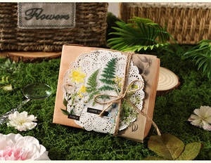 Macro shot of vintage plant stickers, lace paper, and hemp rope on mossy background