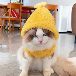 Dettaglio del cappuccio in pile giallo per animali con decorazione a germoglio su gatto