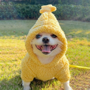 Dettaglio della felpa con cappuccio gialla in peluche per cani con decoro a stella
