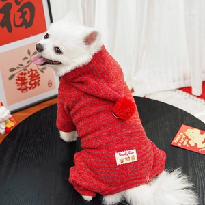 Close-up of red striped pet hoodie with bear label on a white Pomeranian dog
