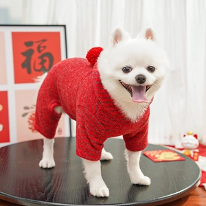 Detail of a red striped pet jumpsuit with fuzzy pom-poms on a white Pomeranian dog