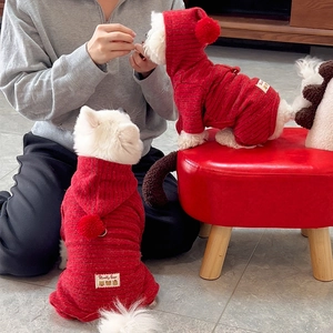 Close-up of red striped knit pet jumpsuit with hood and cute bear patch detail