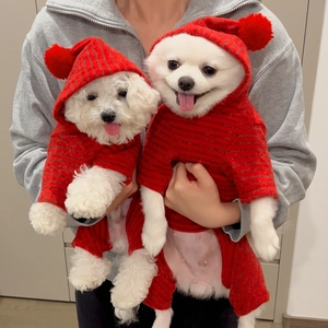 Close-up of red striped pet onesie with soft pom-pom hood on white small dogs