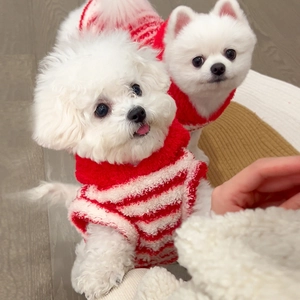 Close-up of red and white striped pet sweater with plush texture for small dogs