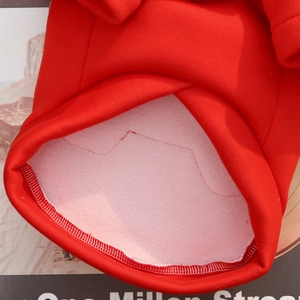 Close-up of soft white fleece lining and neat stitching on red festive pet hoodie