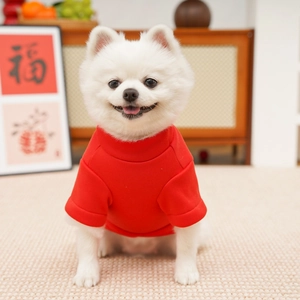 Detailed close-up of a red pet shirt with a round neck on a small Pomeranian dog