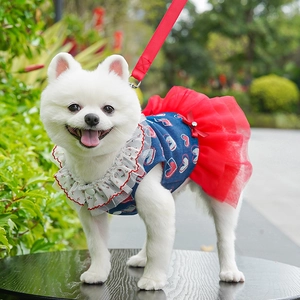 Dog denim puffy dress with red heart prints and matching leash for small pets