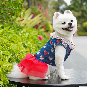 Dog denim princess dress with red tulle skirt and lace collar on a Pomeranian