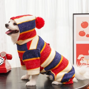 Detail of striped pet hoodie with red pom-pom on hood worn by a small white dog