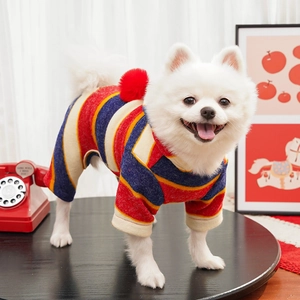 Close-up of a Pomeranian dog wearing a striped knit sweater with festive red pom poms