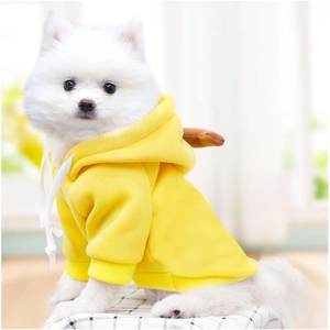 Gros plan d'un sweat à capuche jaune pour chien blanc avec cordon de serrage et finitions