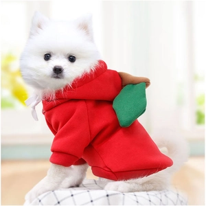 Détail du sweat à capuche pour chien en forme de pomme rouge avec feuille verte