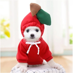 Détail d'un sweat à capuche rouge pour chien, design pomme avec feuilles et cordon
