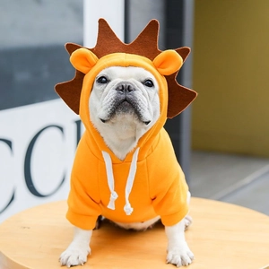 Détail du sweat à capuche pour chien lion orange vif avec crinière et cordons blancs