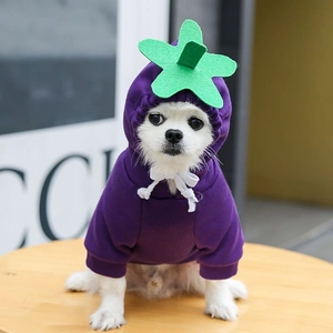 Détail du sweat à capuche pour animal violet avec tige en feutre vert et cordons