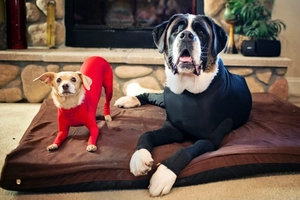 Combinaison élastique à quatre pattes pour petits et grands chiens en rouge et noir